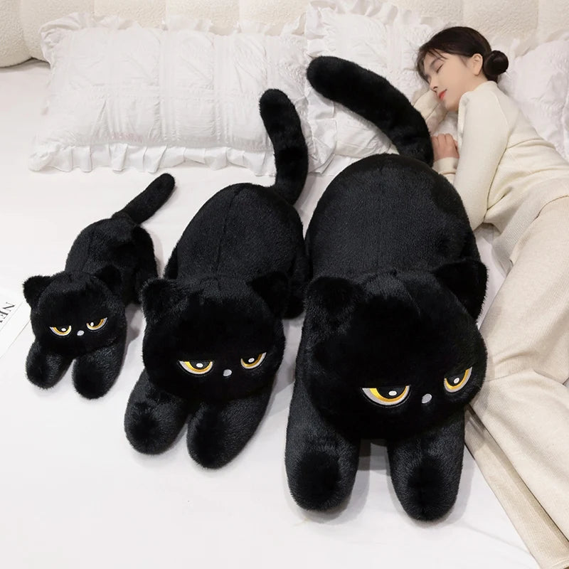MegaPaws