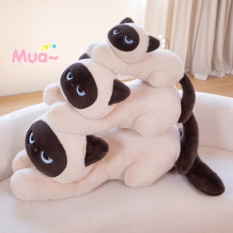 MegaPaws